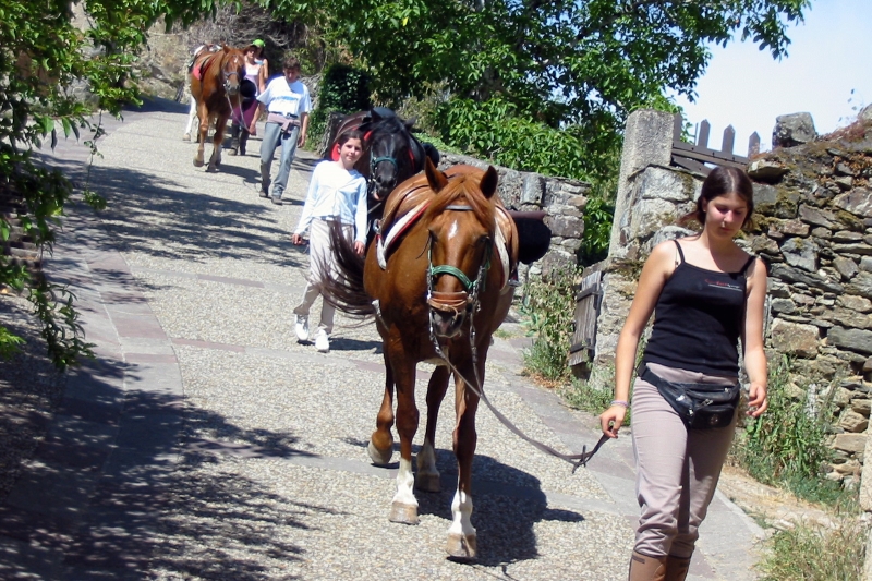 équitation à Najac